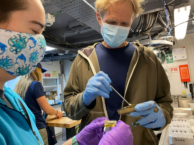 来自加州大学圣地亚哥分校斯克里普斯海洋学研究所的科学家保罗·詹森和他的同事们发现了一种海洋细菌，这种细菌在癌症治疗领域取得了重大成果