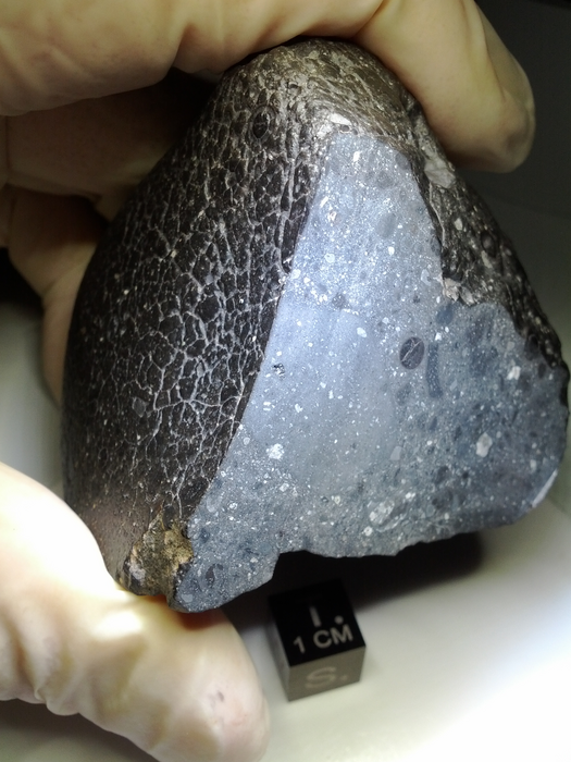 Low-Res_Fragment of the meteorite Black Beauty. Credit NASA.jpg.png